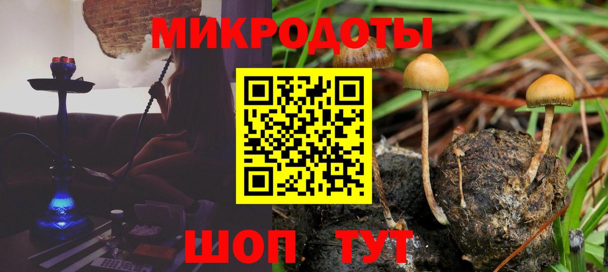 Светлоград  Галлюциногенные грибы Psilocybine cubensis  Вход с VPN 